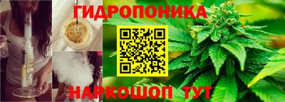 гашик Новодвинск